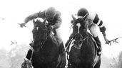 Alydar (left) and Affirmed at the Belmont Stakes.