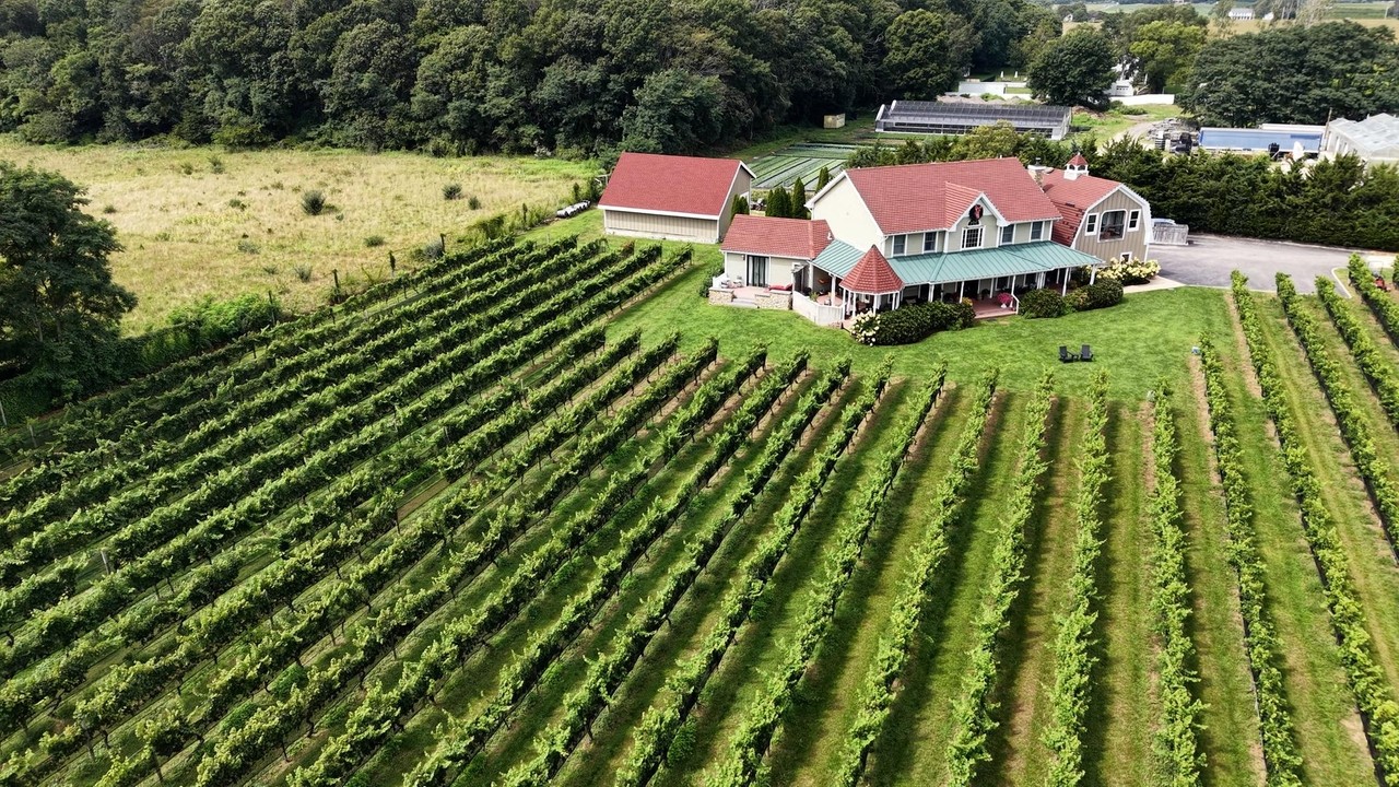 Out East: Sannino Vineyard
