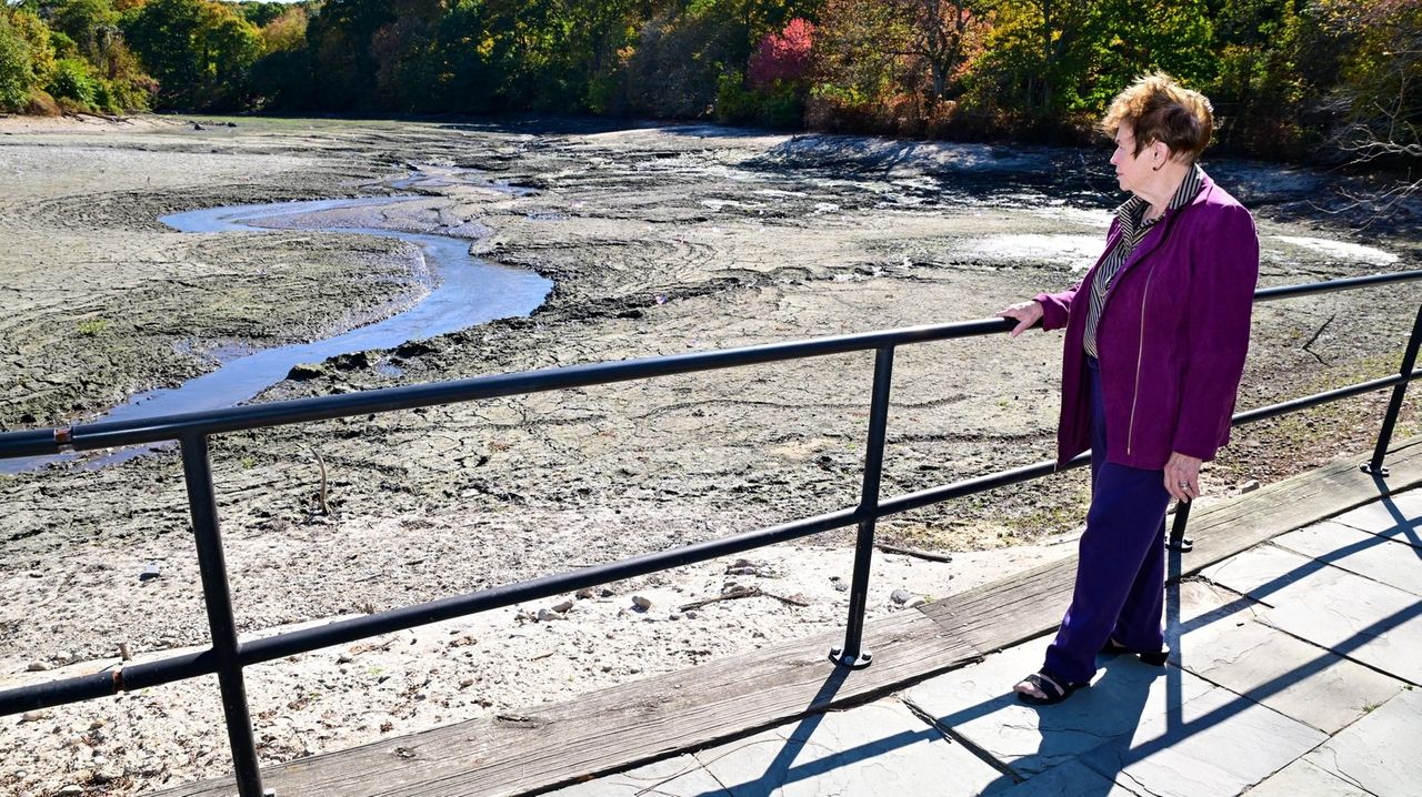 Storm-damaged Stony Brook mill pond will be rebuilt, Brookhaven ...