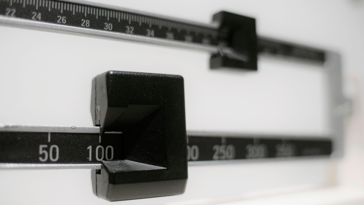Daily pill may work as well as Wegovy shots to treat obesity - Vimarsana News