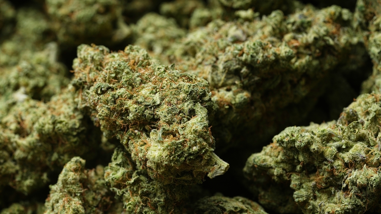 Trump reclassifies state-licensed medical marijuana as a less-dangerous ...