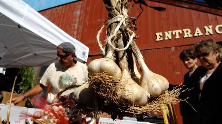 Garlic is the centerpiece at the annual Long Island Garlic Festival. 