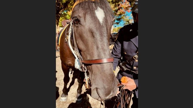 The NYPD has named one of its new Mounted Unit...