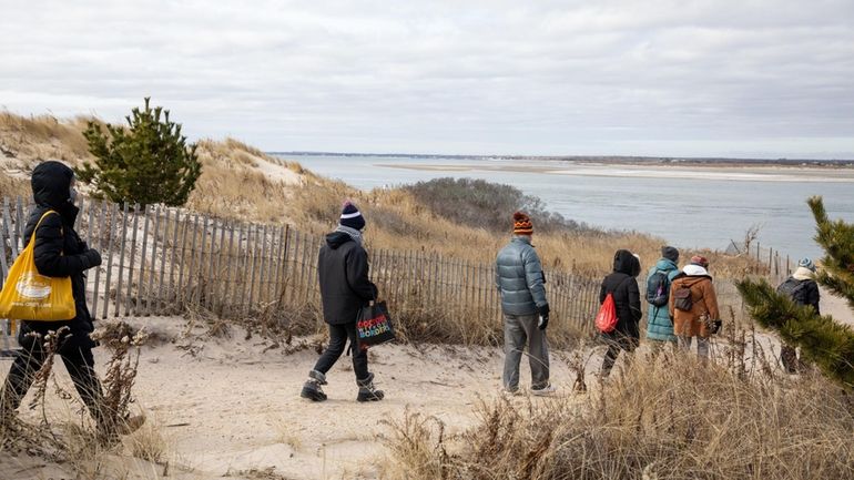 An educational seal walk in January 2022 at Cupsogue Beach...