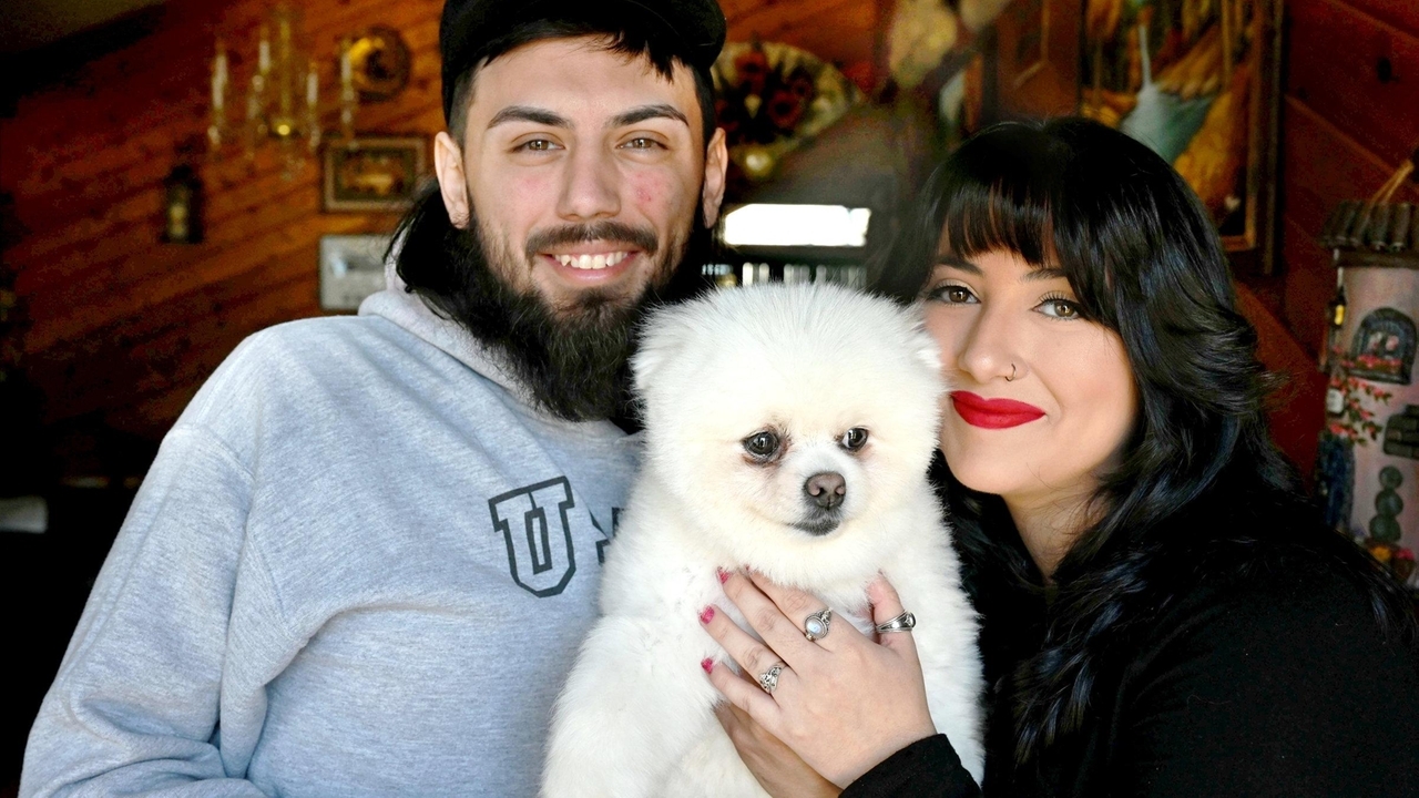 Rescued dogs from Asia to be put up for adoption on Long Island - Vimarsana News