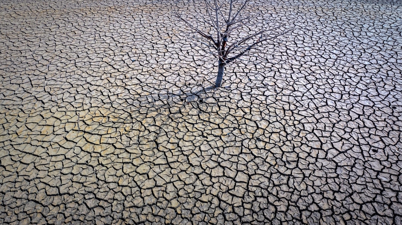 Earth shattered global heat record in '23 and it's flirting with warming limit, European agency says - Vimarsana News