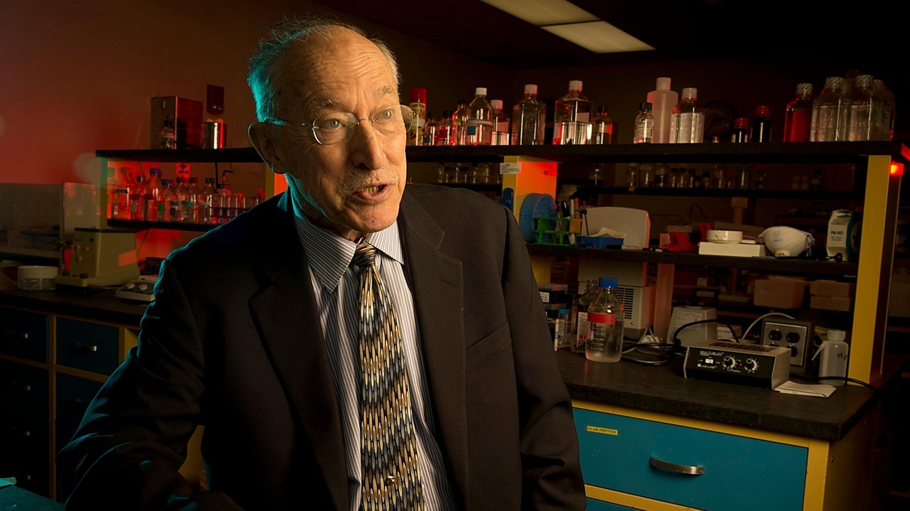 Arthur Grollman, Stony Brook University pharmacological sciences chair, dies at 89 - Vimarsana News