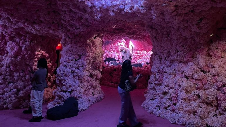 A cave-like room full of silk hydrangeas is among the installations...