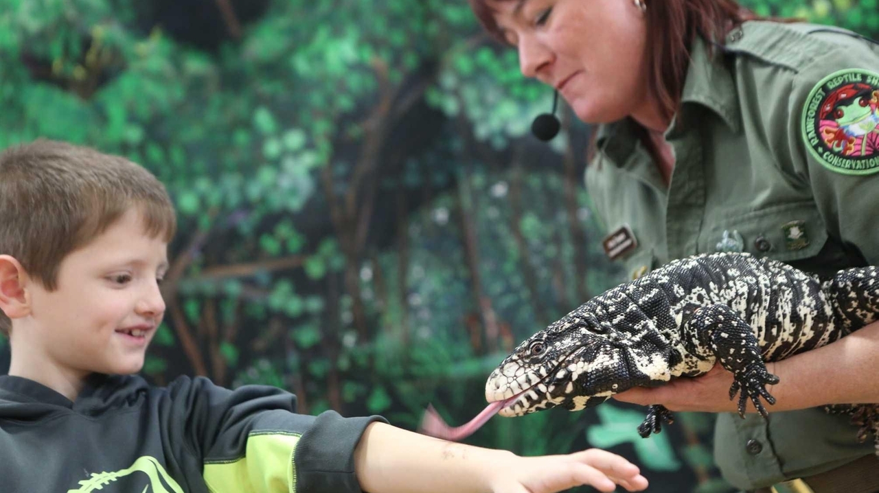 Long Island Reptile Expo showcases lizards, snakes and more - Newsday