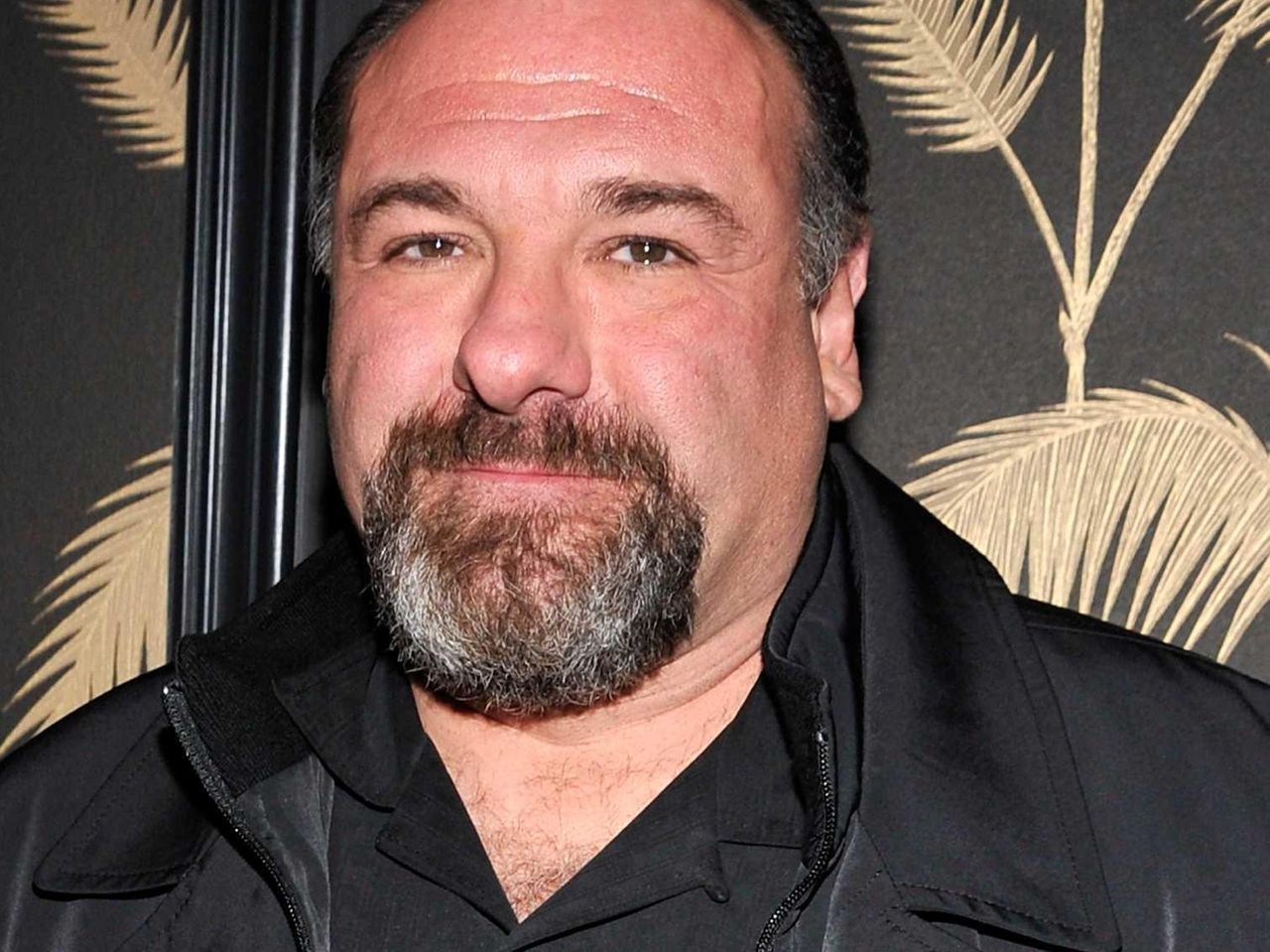 James Gandolfini through the years Newsday