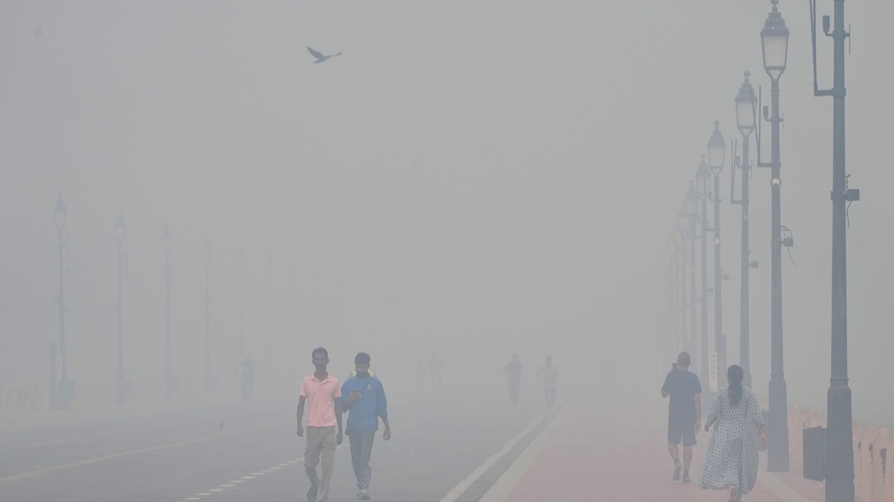 Newsday - Environment - News Image