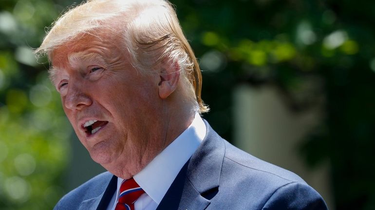 President Donald Trump in the White House Rose Garden on...