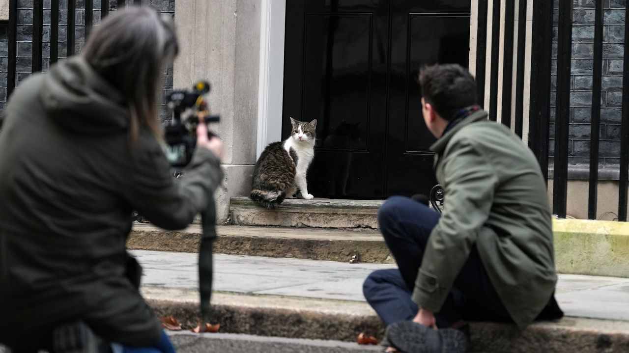 'First feline' Larry marks 15 years as Britain's political top cat