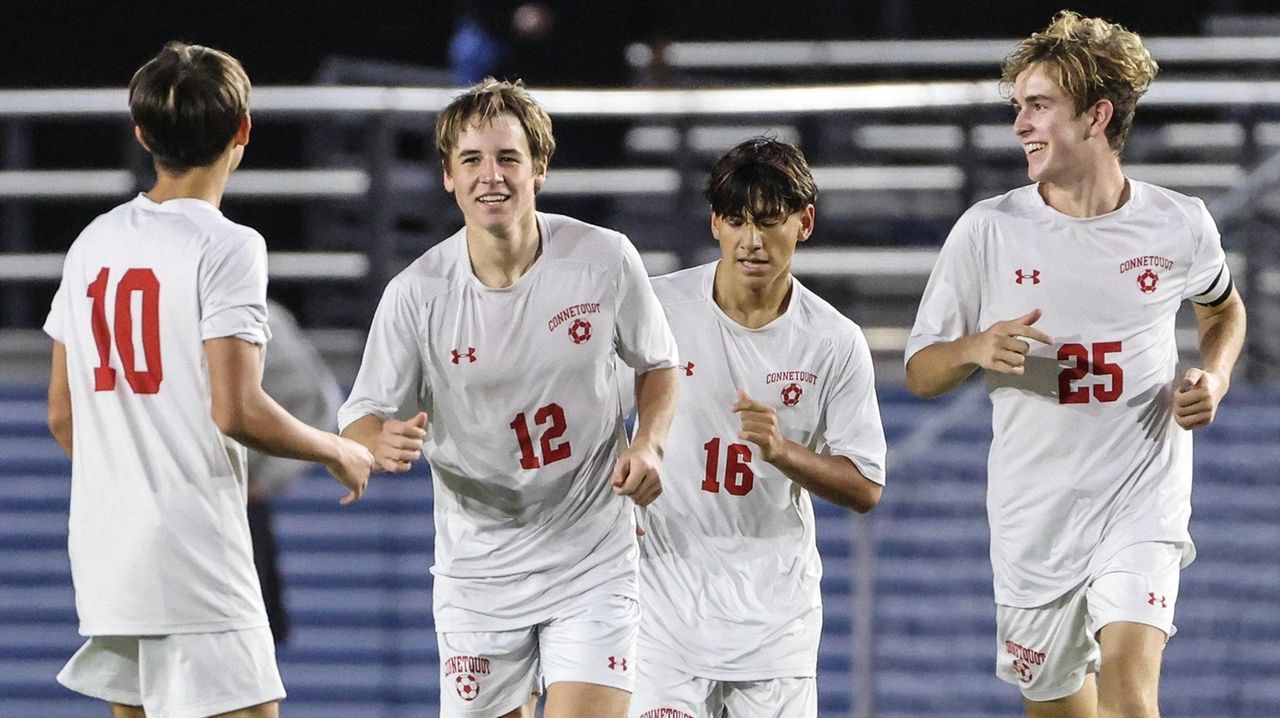 Johnson's goal sparks to first Long Island title Newsday