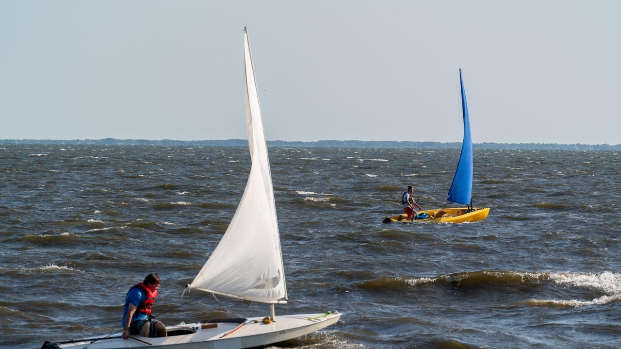 https://cdn.newsday.com/ace/c:MDUwNDU0ZmItMDE4YS00:MDg0Y2FlMDEtOTA3ZC00/landscape/1280