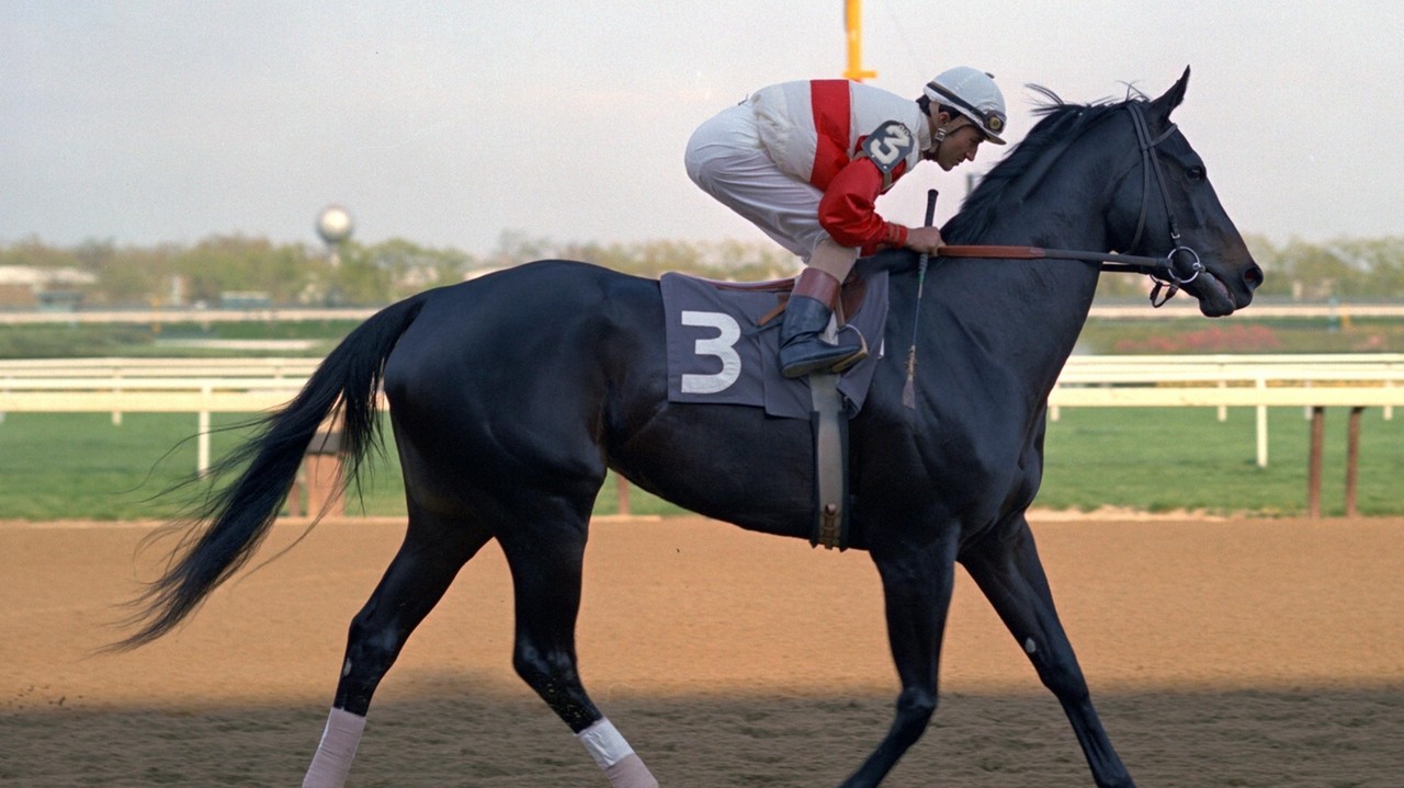 Ruffian's remains relocated from New York's Belmont Park to Claiborne ...
