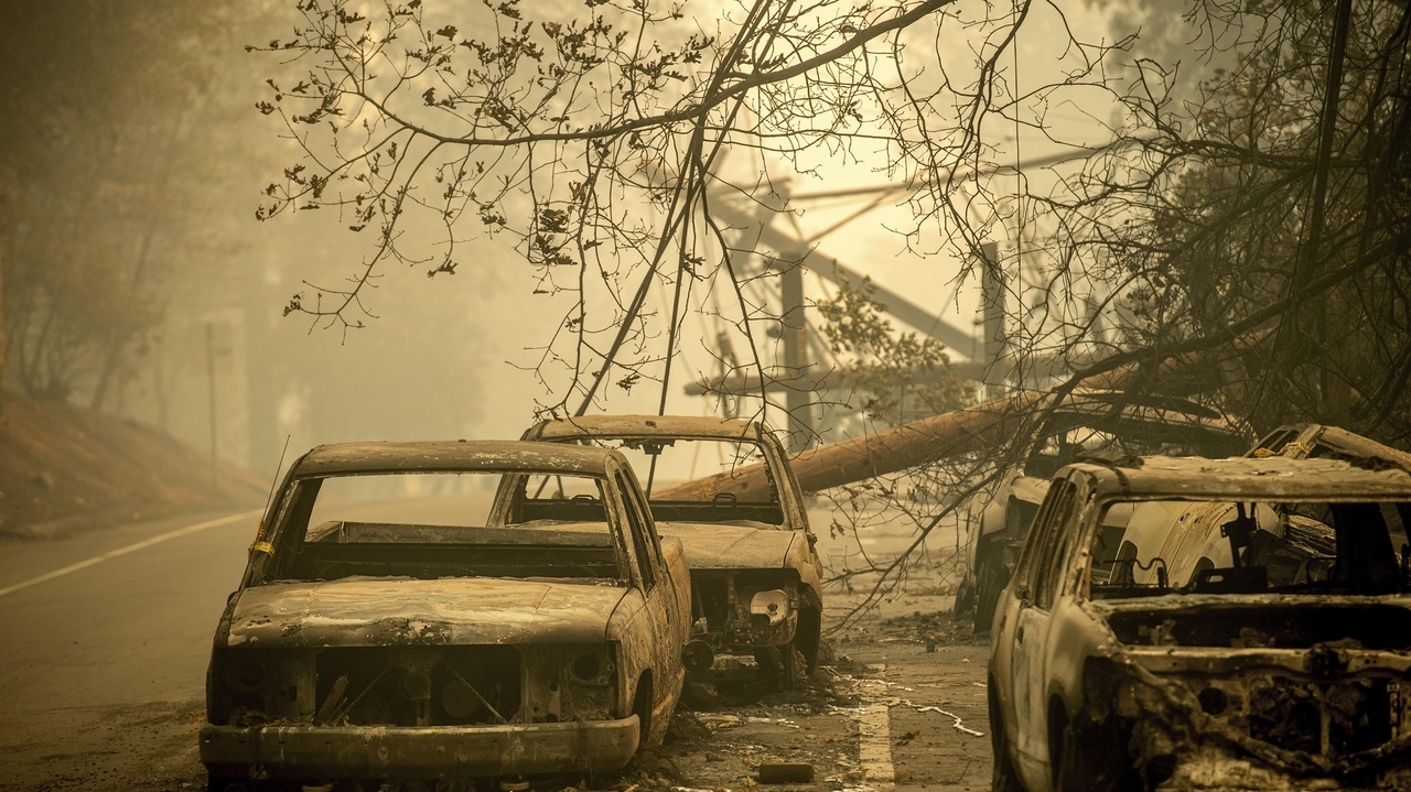 Wildfires in Maui are among the deadliest in US history. These are the other fires atop the list - Vimarsana News