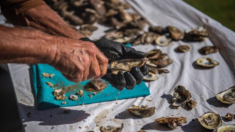 Dave Mahnken shucks oysters competitively at the Oyster Festival in...