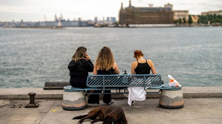 A stray dogs rests at Kadikoy sea promenade in Istanbul,...