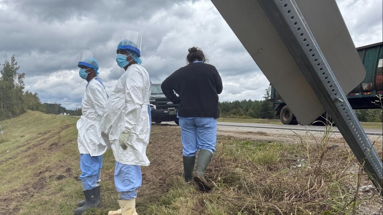 Last monkey on the loose after Mississippi highway crash is captured after being spotted by resident