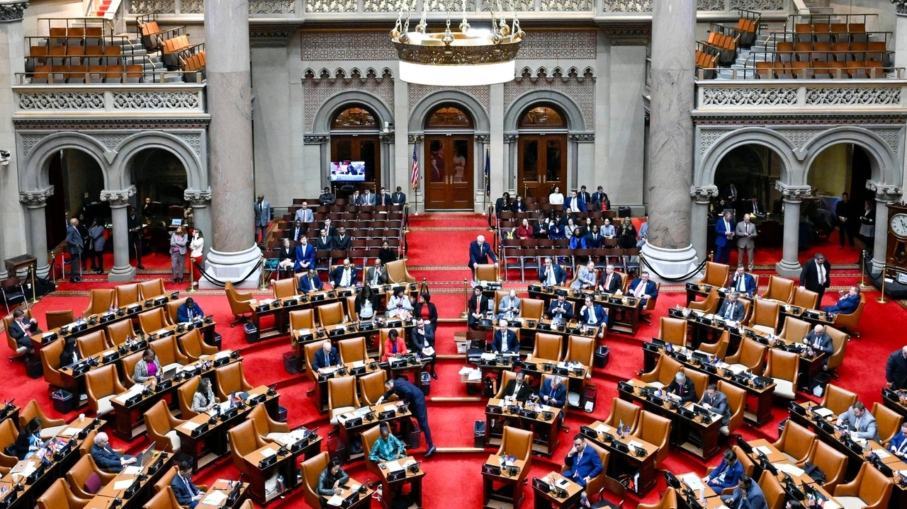 New York State Assembly election endorsements overview