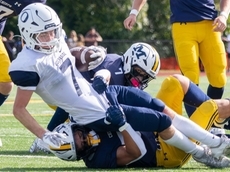 Massapequa football 'D'ominant with a capital D