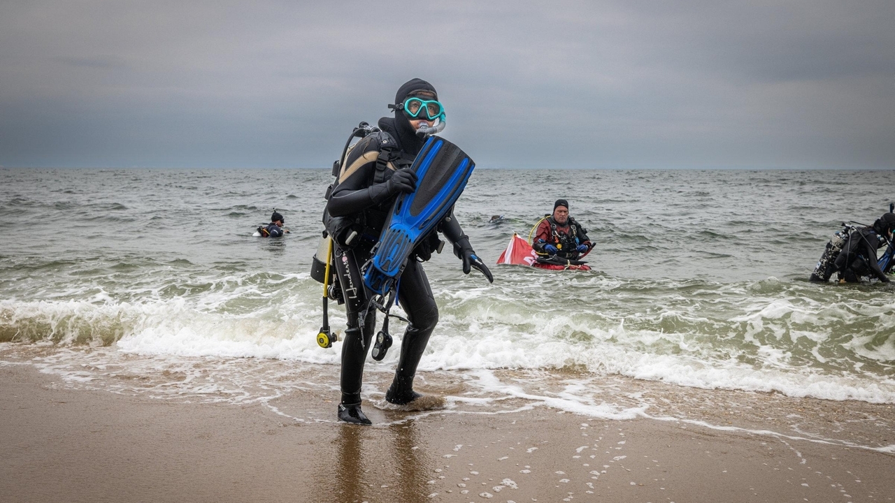 Learning to scuba on Long Island: Take these steps before diving into water - Vimarsana News
