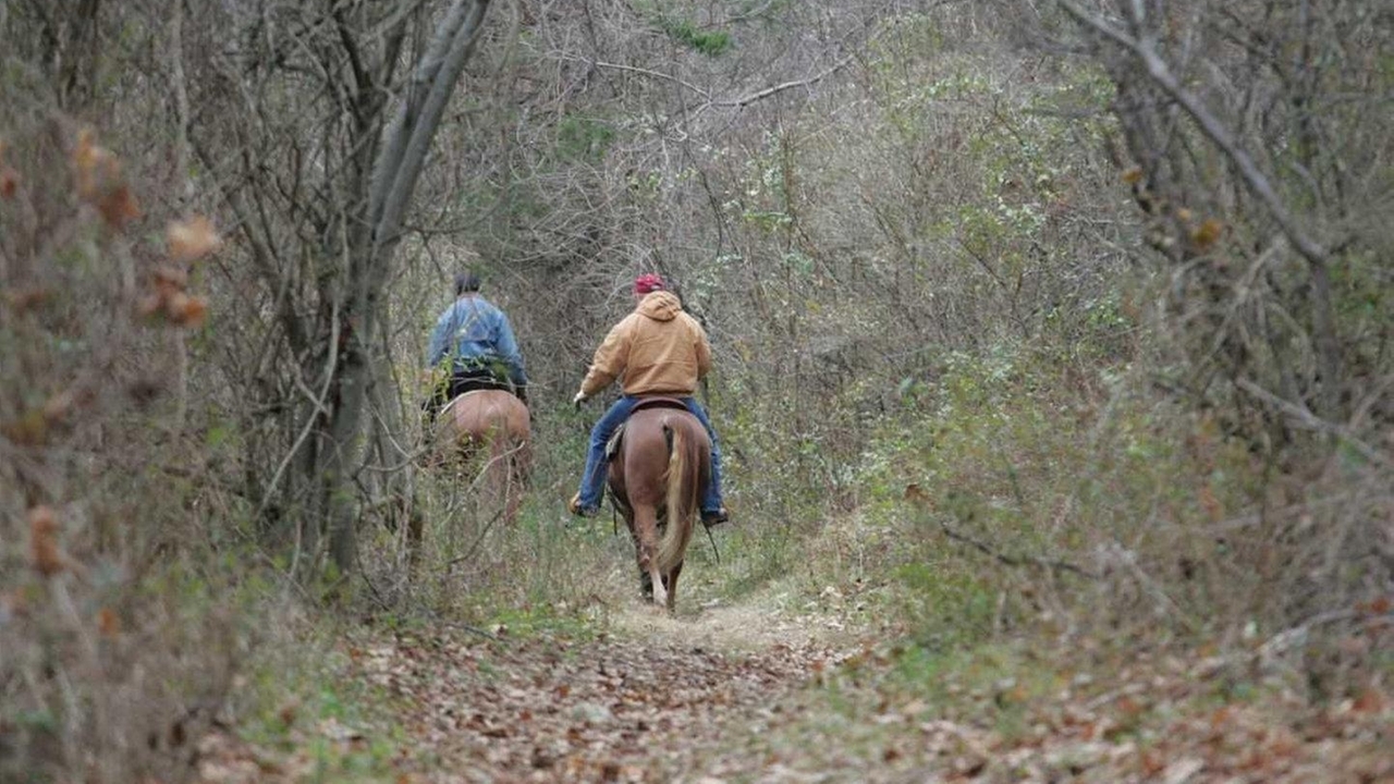 Best places to live on Long Island if you want a green home Newsday