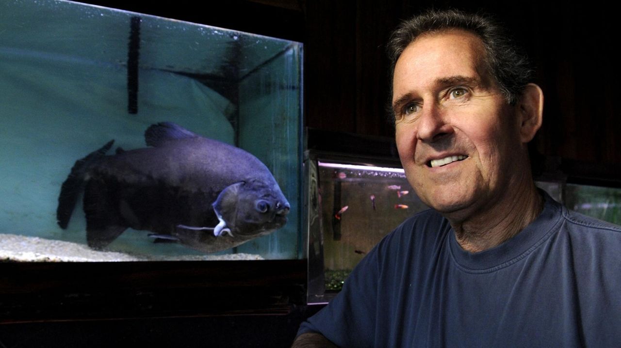 Queens man s fish is 43 years old weighs 20 pounds Newsday