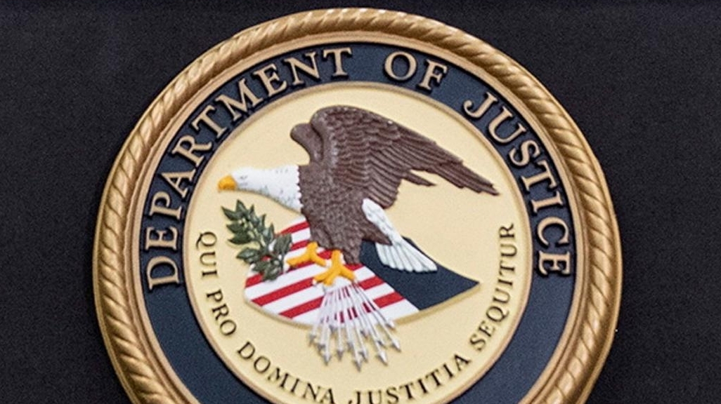 Commack man pleads guilty to running rare-insect smuggling ring - Vimarsana News