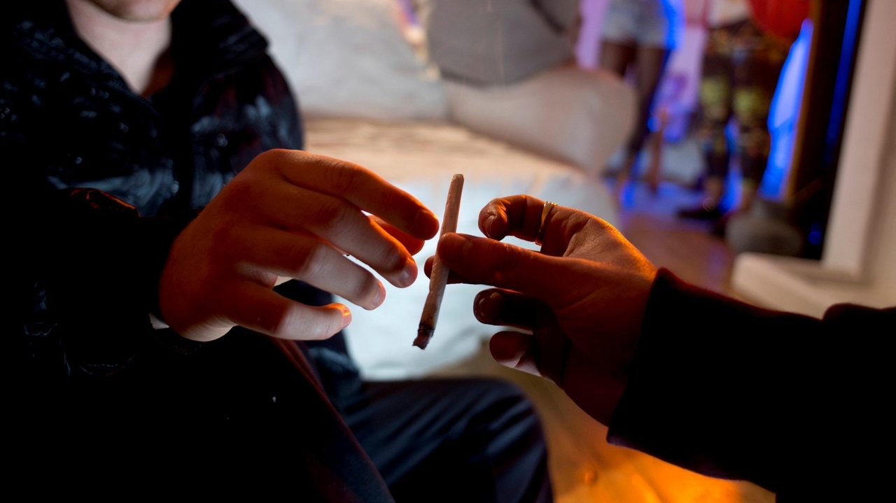 Pot-related ER visits among kids, already on the rise, spiked further during the pandemic, CDC says - Vimarsana News
