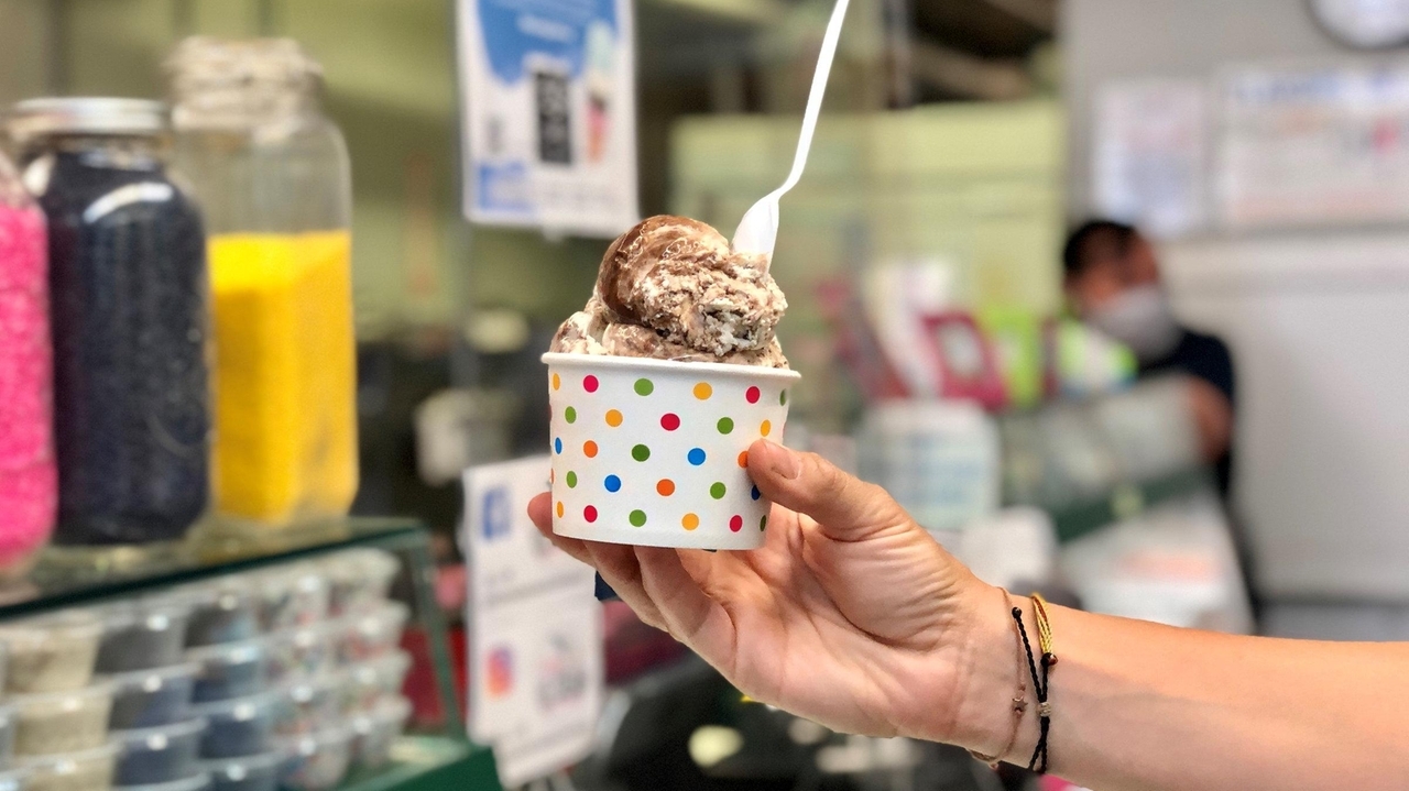 2023 Long Island Ice Cream Tour set for July - Vimarsana News