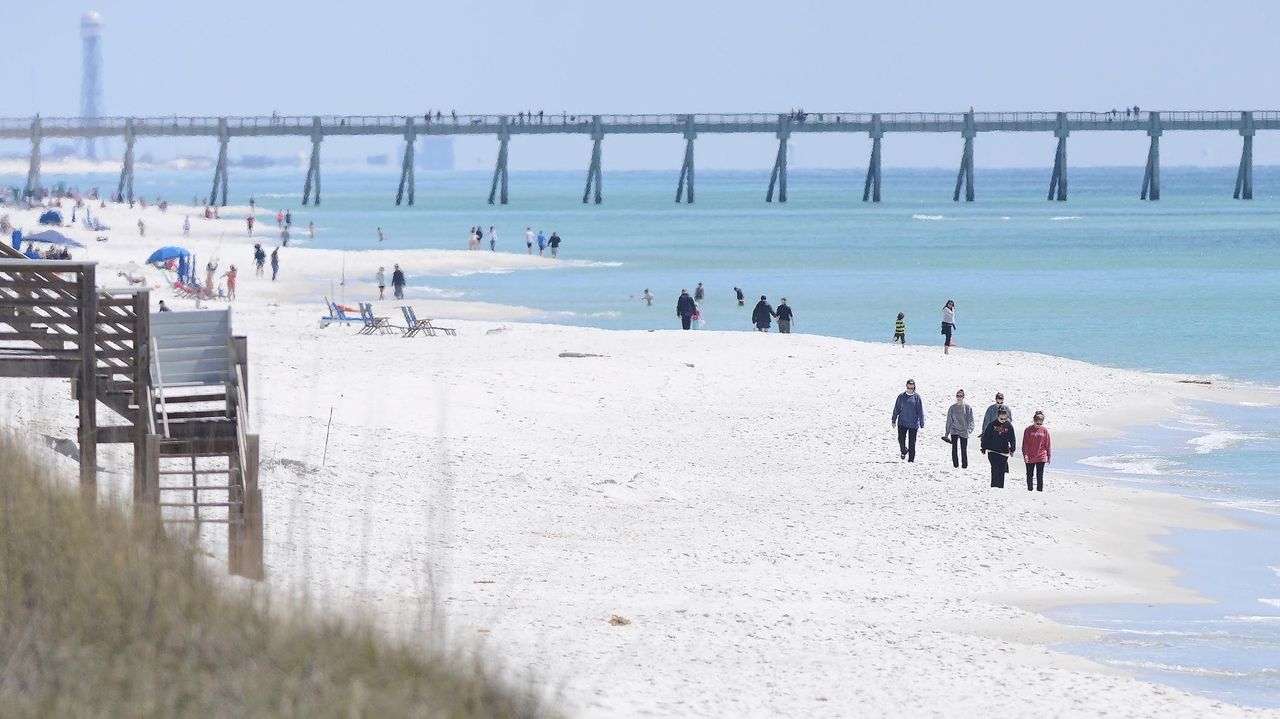 Florida authorities warn of shark dangers along Gulf Coast beaches after 3 people are attacked - Vimarsana News