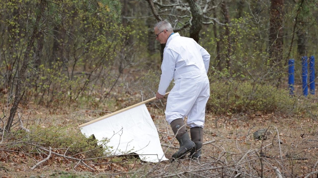 At-home Lyme disease tests latest effort against tick threats