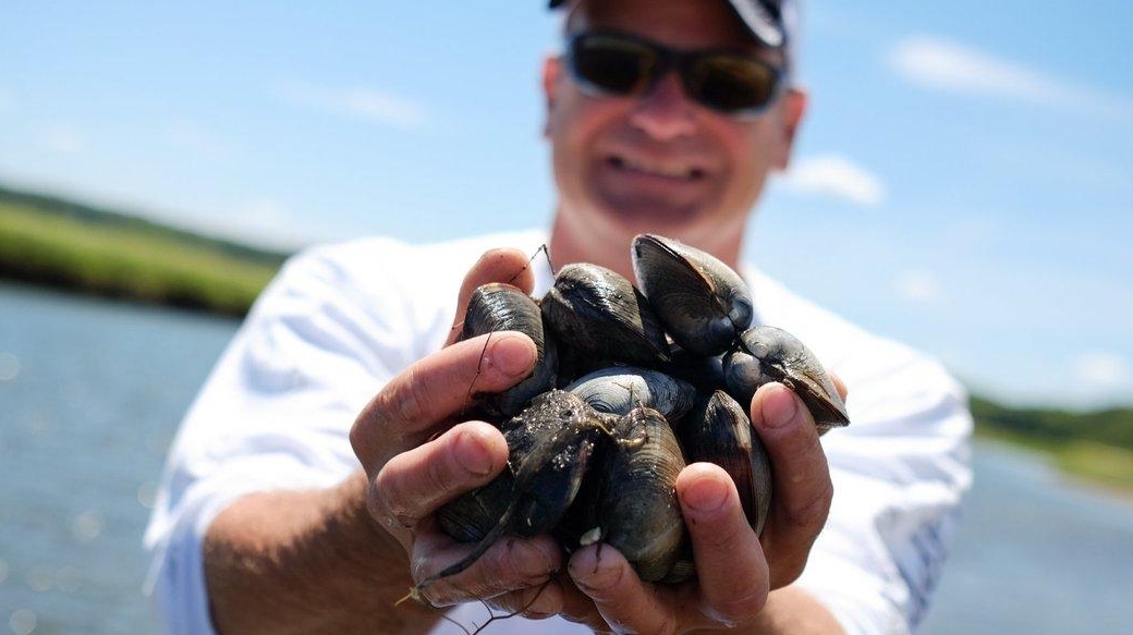 Clamming tips for LI: Where and how to dig the tasty shellfish - Newsday