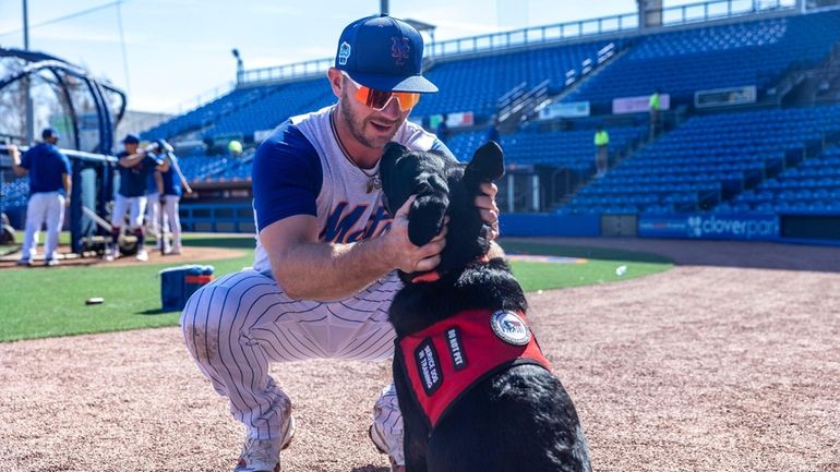 Pete Alonso foundation partners with K9s for Warriors