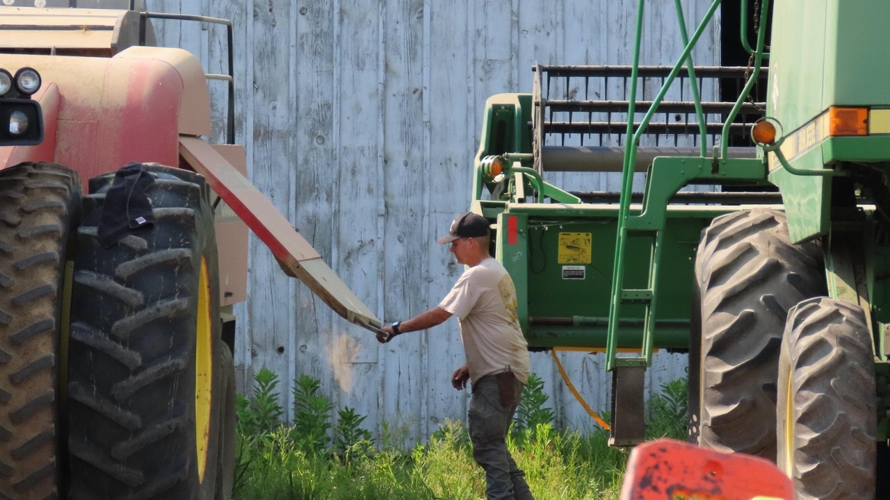 Long Island legacy farms struggle to survive as pressures mount - Vimarsana News