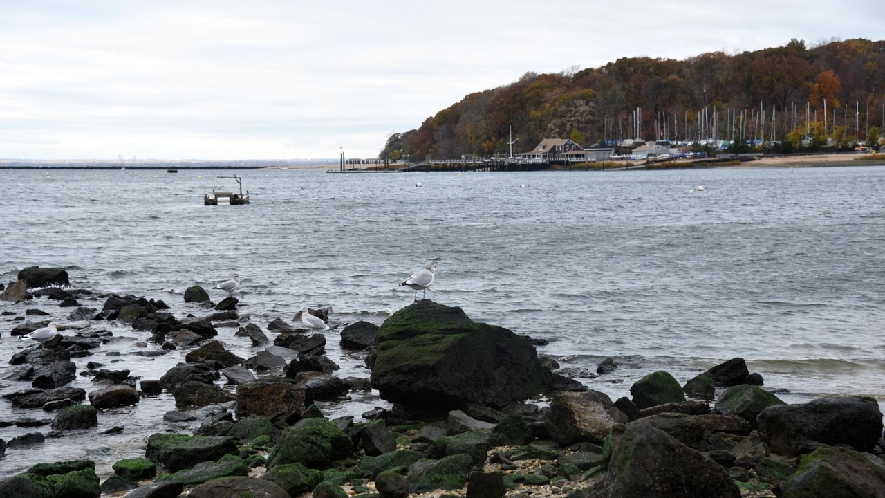 14 North Shore Beaches Closed Today To Swimming Due To Storm Runoff Nassau Health Officials Say 