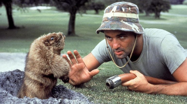 Bill Murray confronts a gopher in 1980's "Caddyshack."