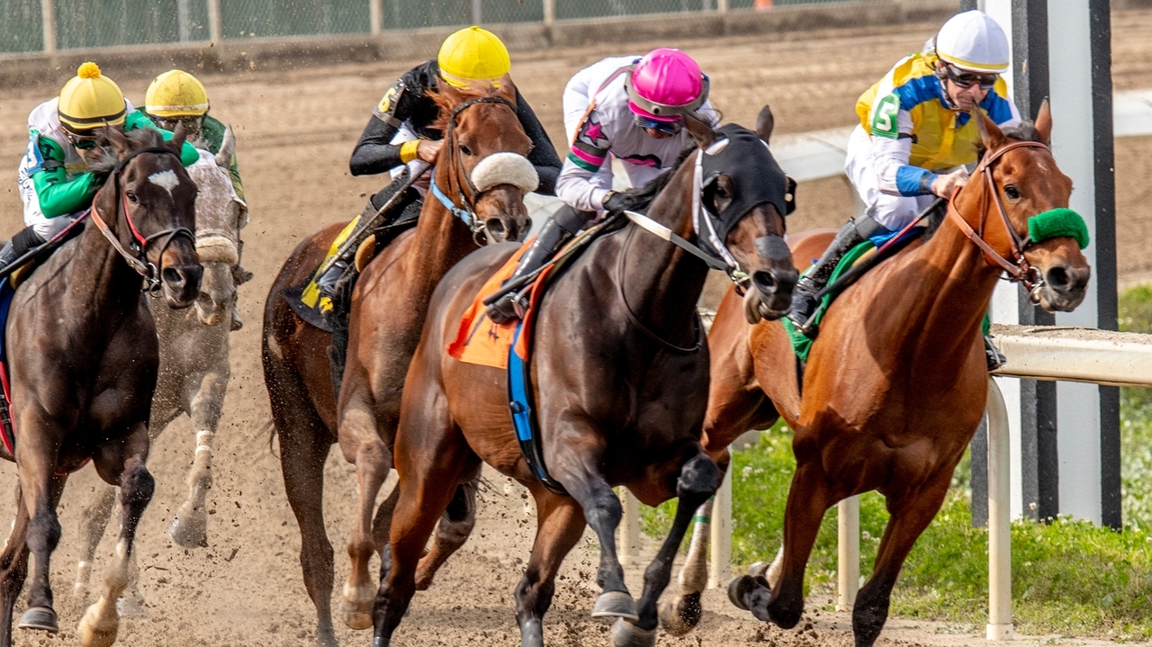 9 additional 3-year-olds are eligible to race in Triple Crown series ...