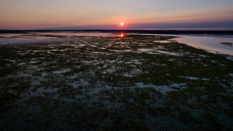 The sun rises over a wild rice bed in Steamboat...