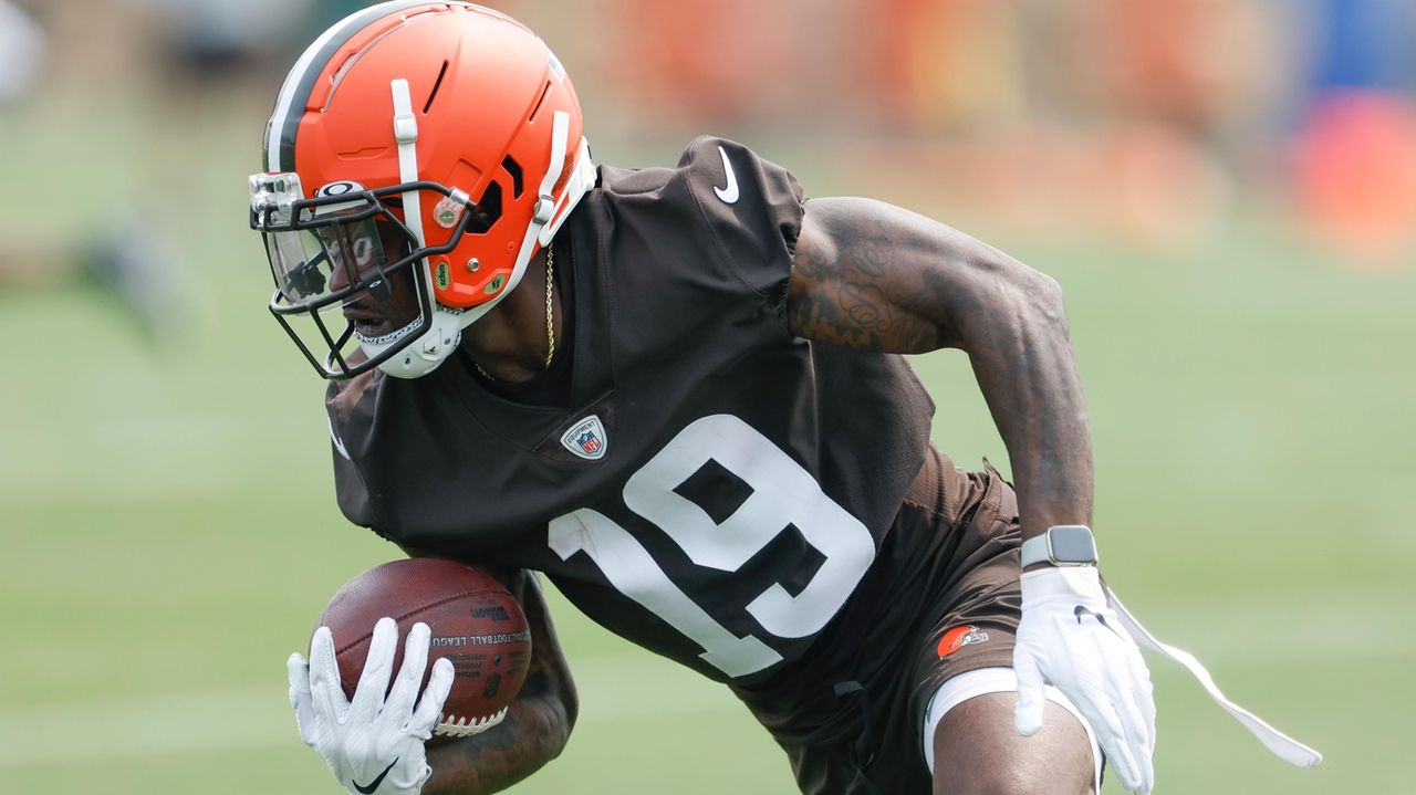 WATCH: Bills WR Goodwin makes Browns fan's night, gets family