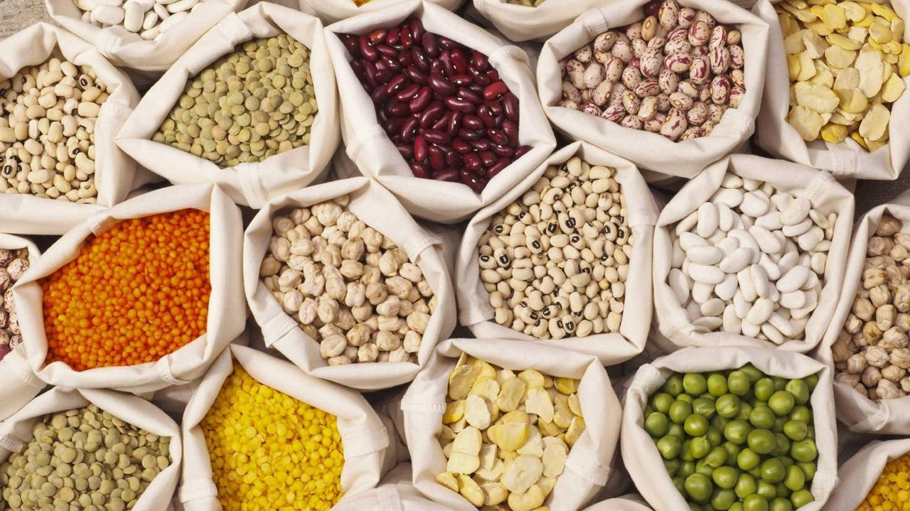 A beanrich diet helps lower cholesterol, study shows Newsday