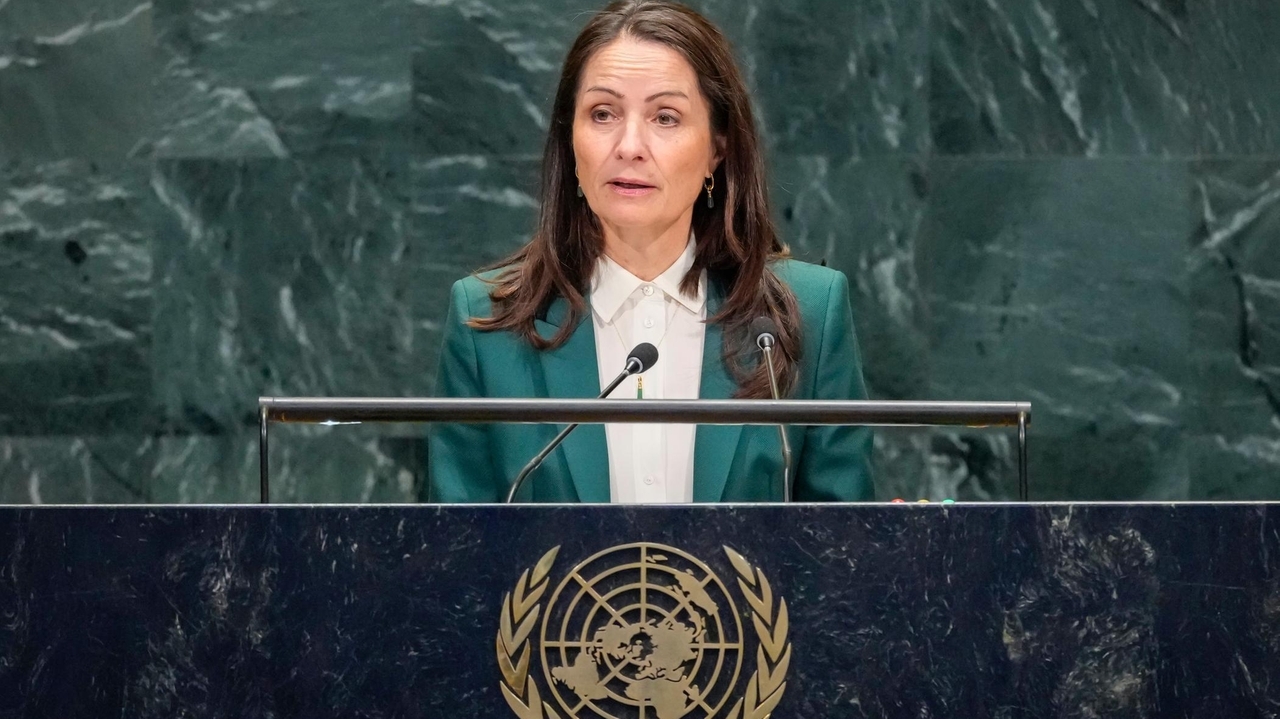 Denmark, at UN, says Greenland pact benefits all parties involved - Newsday