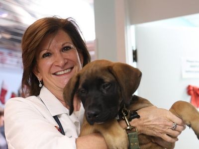 Dr. Diane Levitan with Rocky at Peace Love Pets Veterinary Care...