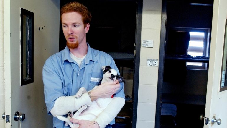 Lansing Correctional Facility inmate John Manard holds a Jack Russell/Boston...