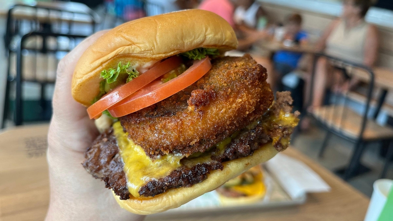 Shake Shack opens in Oceanside - Vimarsana News