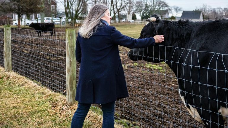 Heather Johnson bonds with Rosie at Hallockville Museum Farm in Riverhead.