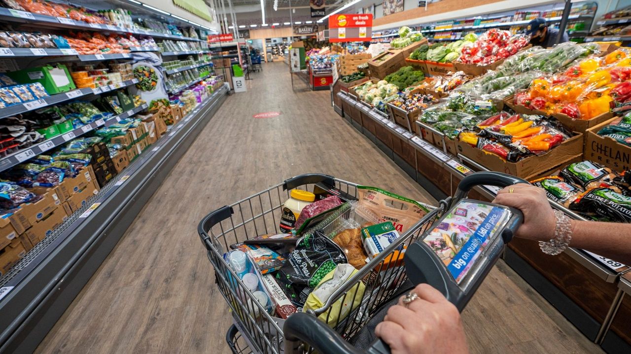 Lidl drops plans for grocery store at Valley Stream mall site