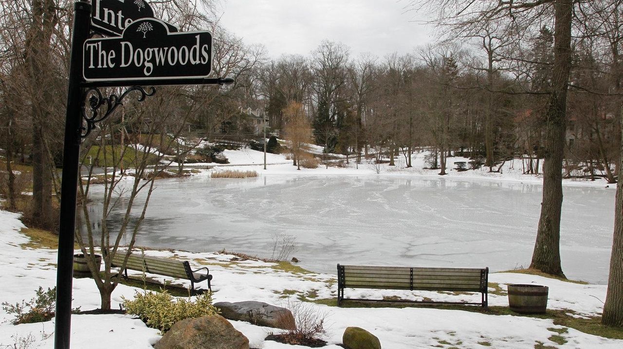 Buying a house in Roslyn Estates Newsday